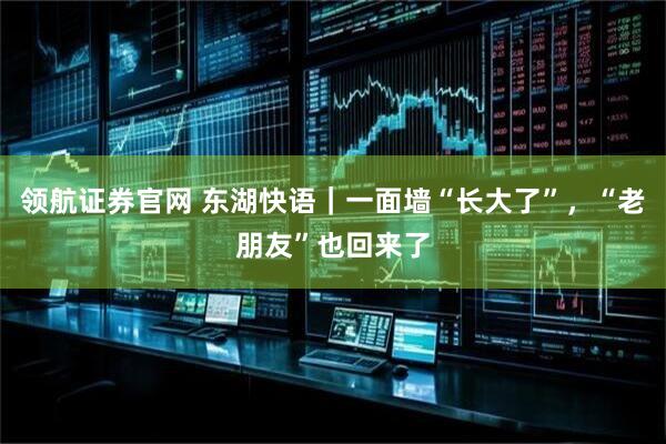 领航证券官网 东湖快语｜一面墙“长大了”，“老朋友”也回来了